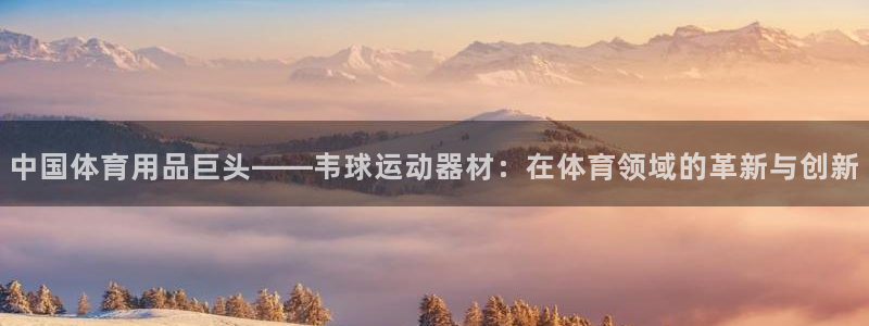 意昂平台体育：中国体育用品巨头——韦球运动器材：在体
