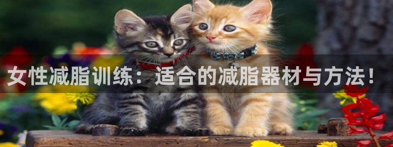 意昂体育5(KGAME)平台注册要钱吗安全吗：女性减脂训练：