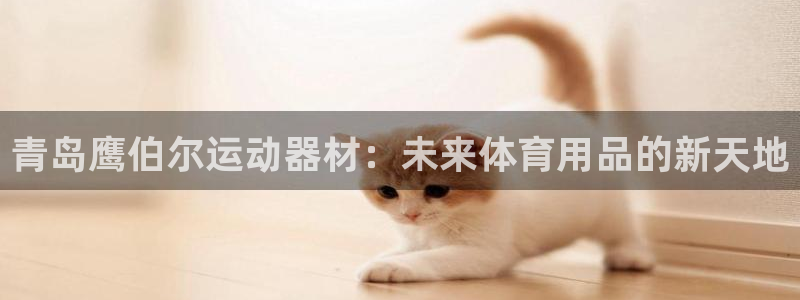 意昂体育5(KGAME)招商电话：青岛鹰伯尔运动器材：未来体