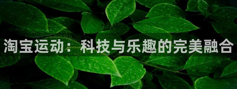 意昂体育5(KGAME)招商电话号码：淘宝运动：科技与乐趣的