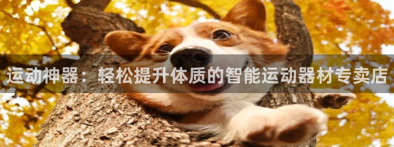 意昂5(KGAME)集团简介：运动神器：轻松提升体质的智能运