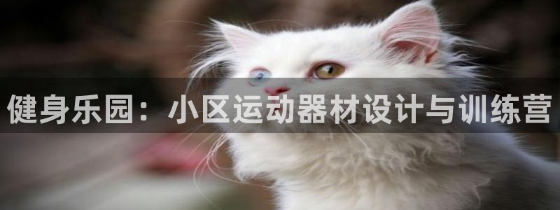 意昂5(KGAME)娱乐是那个系列的台子：健身乐园：小区运动