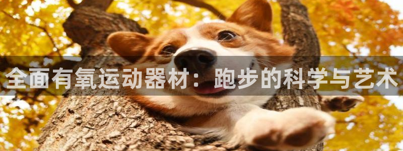 意昂体育5(KGAME)招商电话地址：全面有氧运动器材：跑步