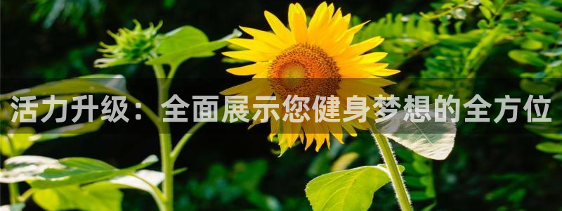 意昂5(KGAME)新能源:活力升级:全面展示您健身梦想的全