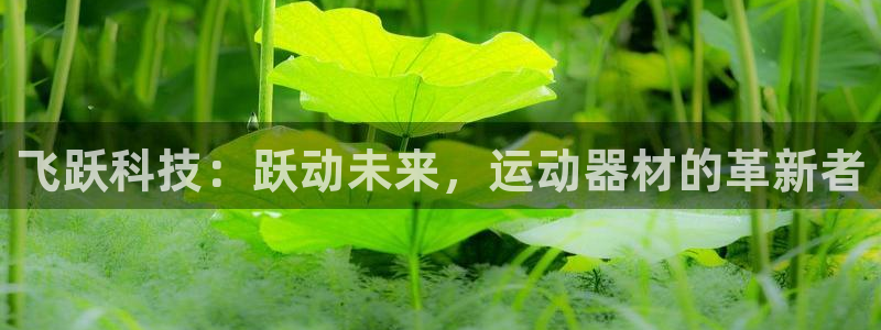 意昂5(KGAME)代理：飞跃科技：跃动未来，运动器