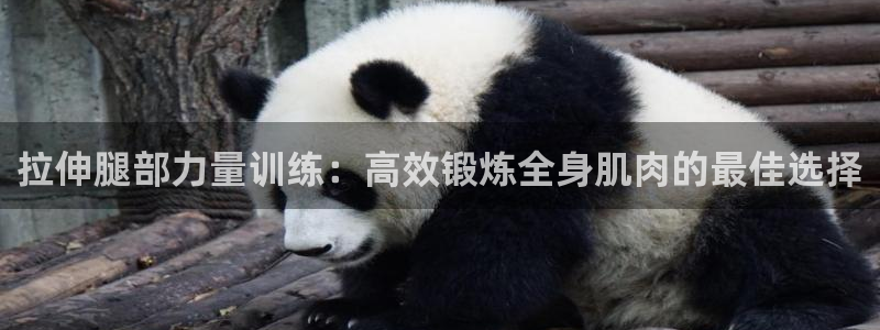 意昂体育5(KGAME)招商电话号码是多少号：拉伸腿