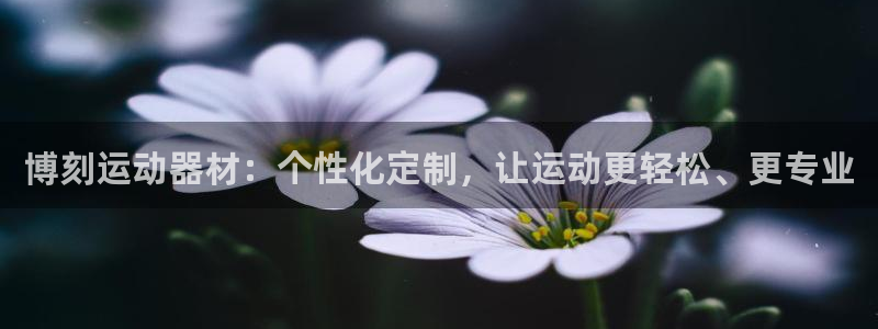 意昂5(KGAME)代理：博刻运动器材：个性化定制，