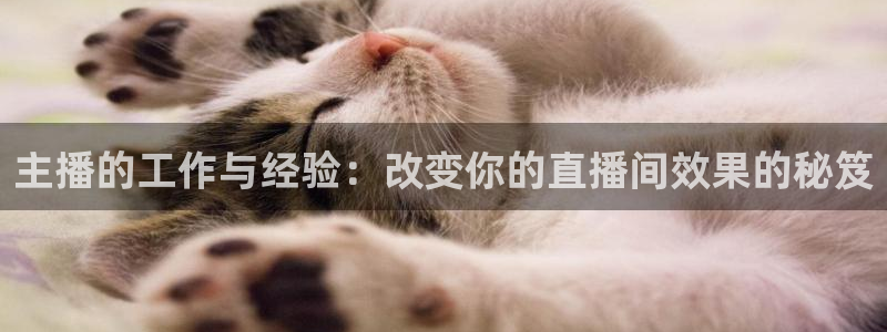 直播360体育直播在线观看：主播的工作与经验：改变你的直播间效果的秘笈