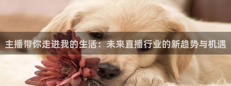 360直播软件足球：主播带你走进我的生活：未来直播行业的新趋势与机遇