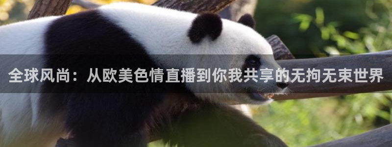 360体育网足球直播