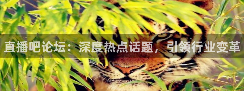 篮球直播360高清直播网站：直播吧论坛：深度热点话题，引领行业变革