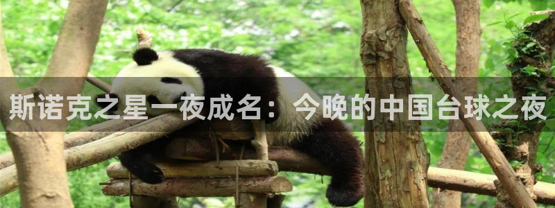 360体育直播下载安卓版下载：斯诺克之星一夜成名：今晚的中国台球之夜