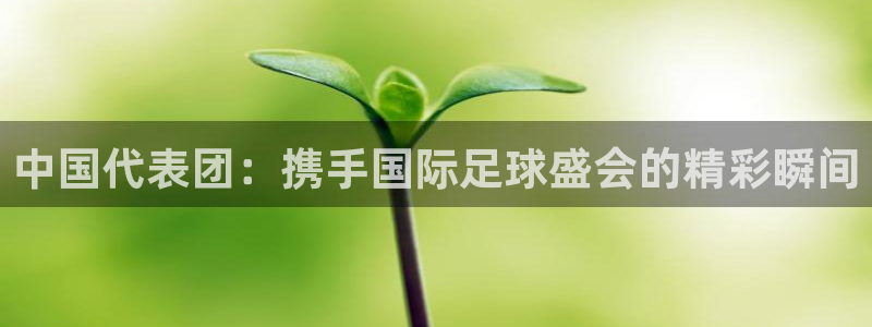雨燕360体育在线直播免费直播：中国代表团：携手国际足球盛会的精彩瞬间