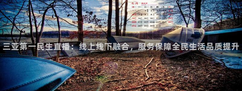 雨燕360体育直播免费：三亚第一民生直播：线上线下融合，服务保障全民生活品质提升