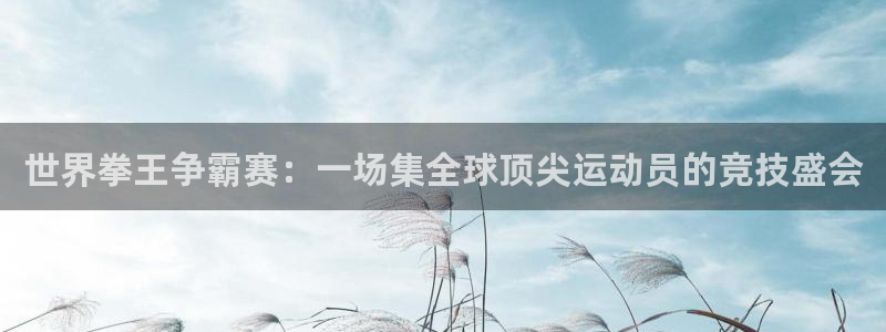 360体育足球直播吧：世界拳王争霸赛：一场集全球顶尖运动员的竞技盛会