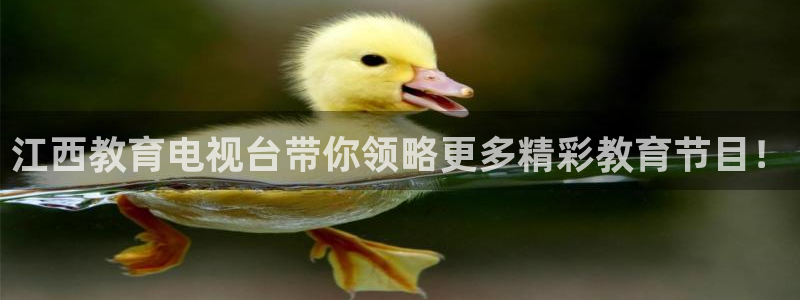 360体育直播无插件高清：江西教育电视台带你领略更多精彩教育节目！